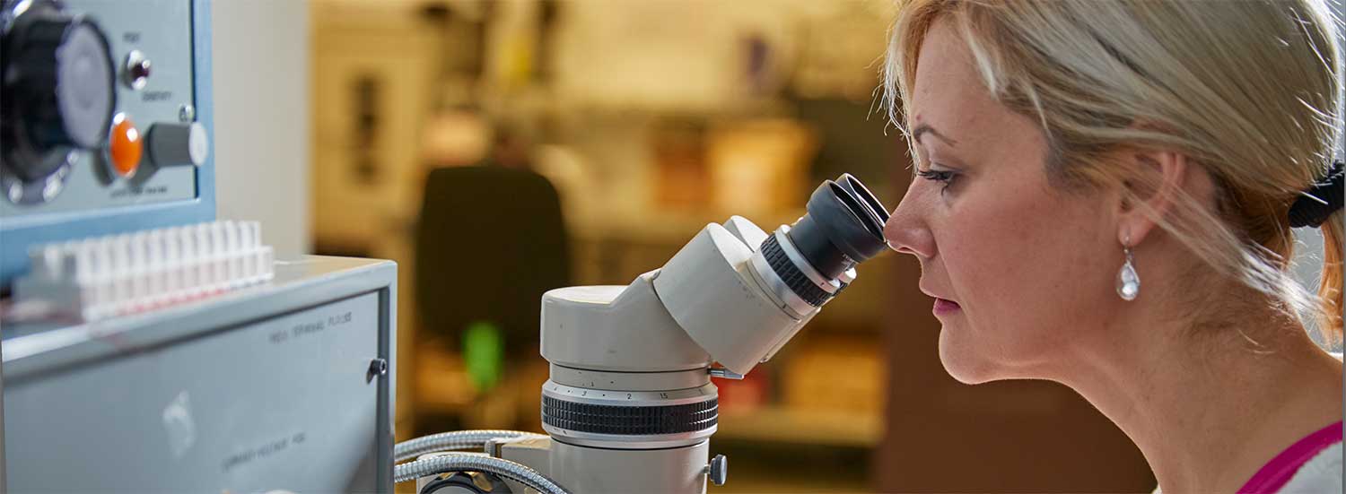 Quality2 WECO Electrical Connectors